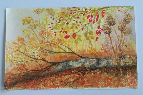 CD. Fallen tree, watercolour.